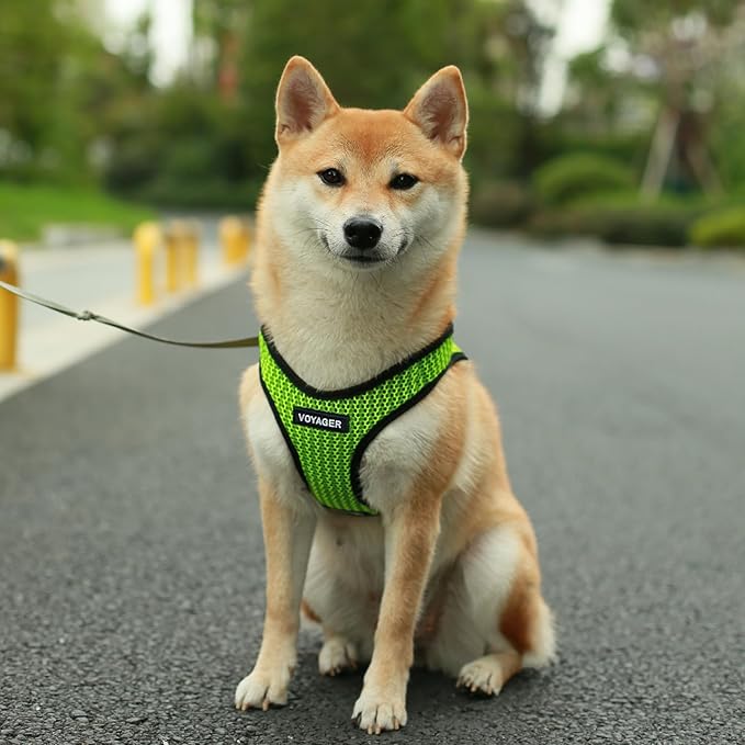 Best Pet Supplies Voyager Step-in Air Harness - All Weather Mesh, Reflective, No Pull Harness for Dogs, Cats - Secure with Hook & Loop Fastener, Buckle, Double D-Rings - Tone, XS