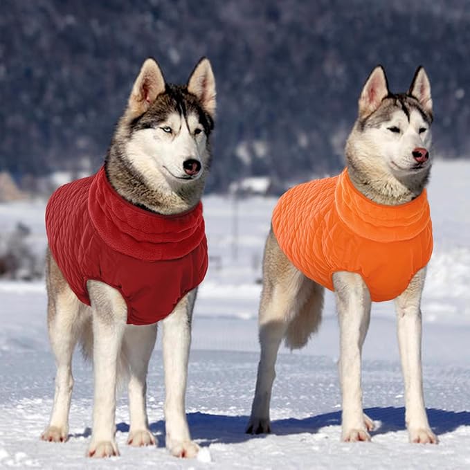 Kuoser XXL Winter Coat | Giant Breed Armor for Mastiffs & Great Danes | Zippers Secure Dogs in -20°F, Reflective Panels for Mountain Hikes, Orange XL