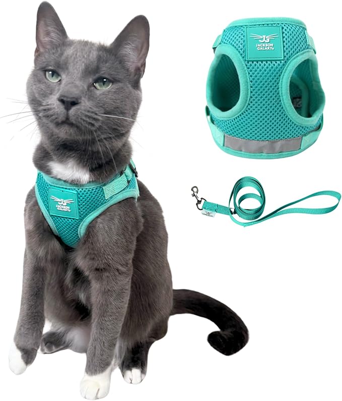Travel Cat x Jackson Galaxy Harness and Leash Set - Adjustable Fit Mesh Cat Harness with Nylon Leash - Comfort, Escape Proof Harness for Cats, Kitten for Outdoor Walking, Hiking (Medium)