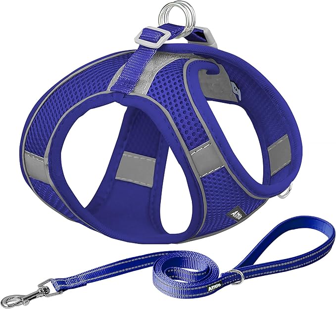 AIITLE Dog Harness, Summer No-Pull Cat Harness with a Leash, Adjustable Reflective Dog Vest, Cat Harness Escape Proof, Outdoor Walking, Camping for Extra Small Dogs and House Cats Royal Blue XXXS