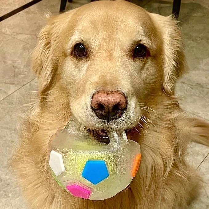 Dog Calming Ball with Handle for Dogs, 2026 New Interactive Football Shape Dog Toy, TPR Chewable Material, Squeaky, Water Play, Training & Outdoor Games (White+Black-B)