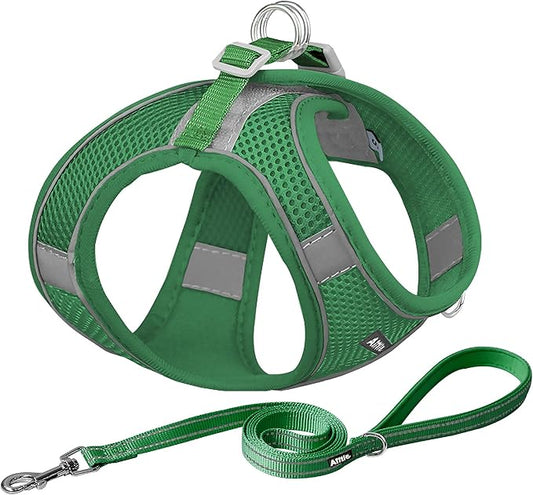 AIITLE Easy Walk Dog Harness and Leash Set - Pet Supply No Pull, Step in Adjustable Pet Harnesses with Padded Vest for Summer, No Choke Over, Easy to Put on Medium Dogs Green L