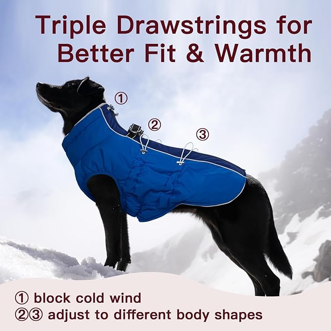 Medium Dog Coat - Warm Zip Up Snowsuit Dog Harness Vest, Reflective, Water-Resistant, Royal-Blue