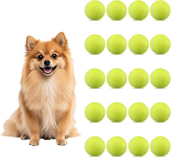 20 Pack Bulk Tennis Balls for Dogs, 2.5 Inch Mini Tennis Balls for Pet Playing Fecth, Yellow Interactive Easy Catching Dog Playing Ball for Small Size Dogs Puppy Pet Playings Exercise and Practice