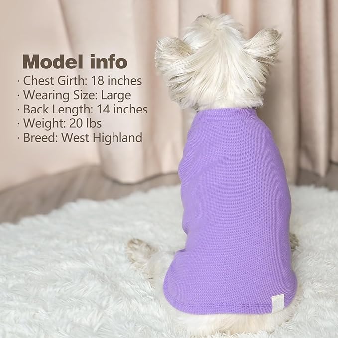 KYEESE 2Pack Dog Shirts Waffle for Small Dogs, Stretchy T-Shirts, Lightweight Tank Top, Sleeveless Vest, Breathable Cat Shirt, Medium, Purple + Grey