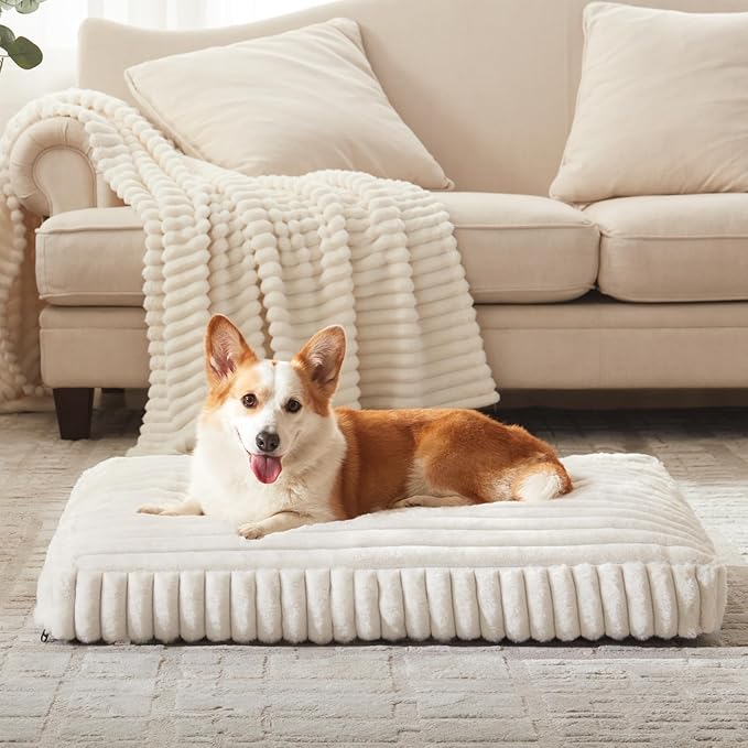Dog Bed Medium Size Dog, Flat Pet Beds with Removable Washable Cover, Pet Mat Cute Crate Bed Thick Shredded Chopped Crate Foam & Anti Slip Bottom for Indoor, 29"x21"x3" Cream