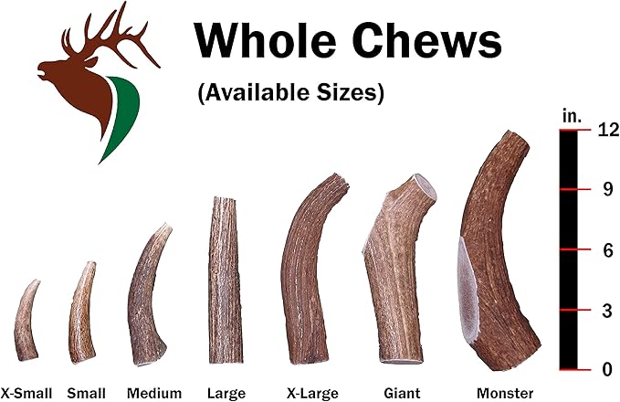 X Small Whole 5 Pack (for 0-15 lb Dogs and Puppies) Premium Grade Elk Antlers for Dogs (5 Pieces) Sourced in The USA