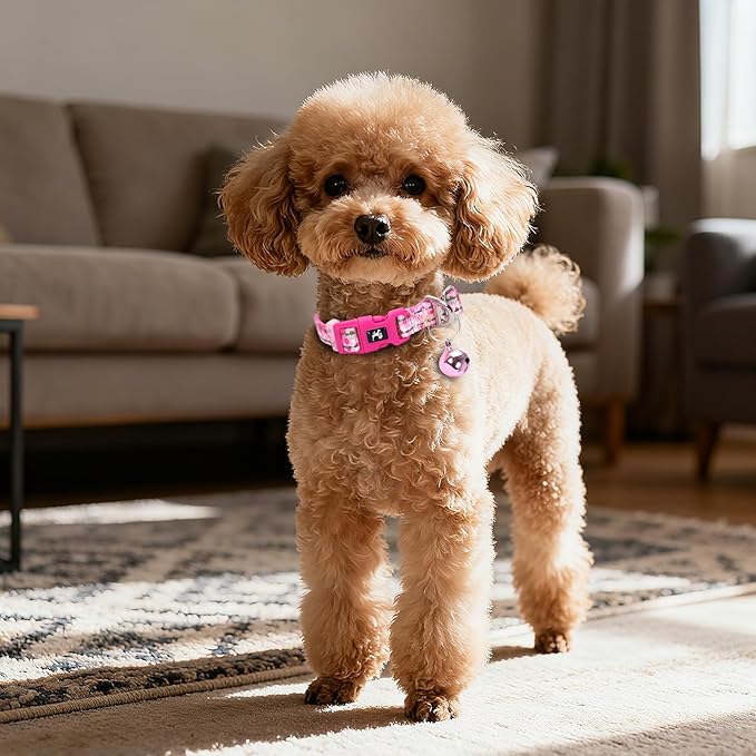Pink Puppy Collar with Bell - Reflective Adjustable Nylon Kitten-Safe Collar for Small Dogs & Cats, Soft Flower Pattern Design for Teacup Chihuahua, Pomeranian, and Kittens (X-Small, Flower)
