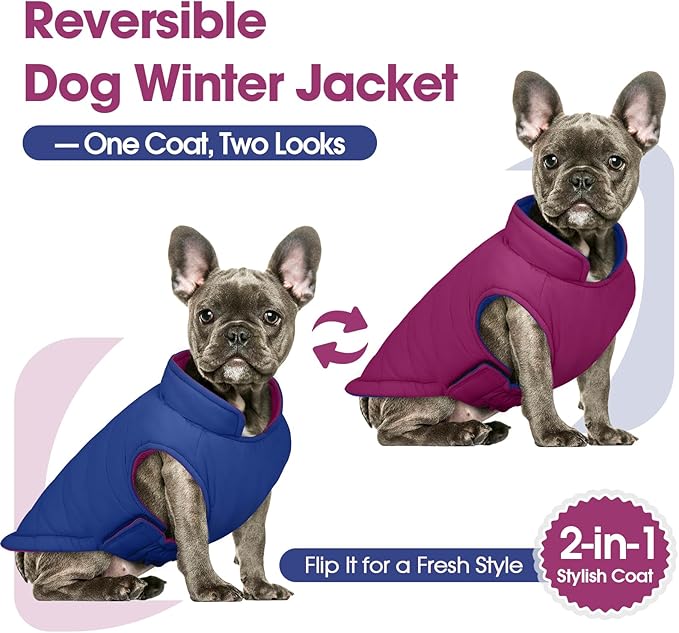 QBLEEV Reversible Dog Winter Coat, Waterproof Windproof Warm Jacket with Adjustable Hook & Loop Design, Lightweight Puffer Vest for Medium Dogs, Purple, M – Fits Pug, Beagle, Corgi