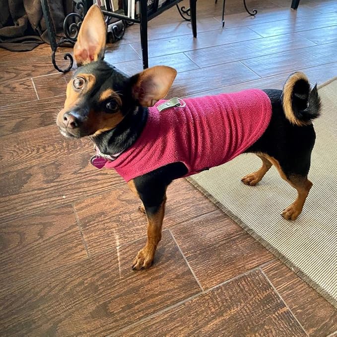 Gooby Fleece Vest Dog Sweater - Fuchsia, X-Small - Warm Pullover Fleece Dog Jacket with O-Ring Leash for Small to Medium Dogs