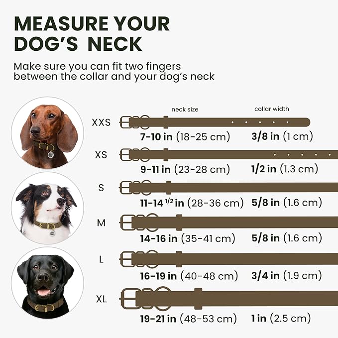 BronzeDog Rolled Leather Dog Collar with QR ID Tag, Adjustable Soft Round Collars for Small Medium Large Dogs Puppy (14" - 16" Neck Size, Nut Brown)