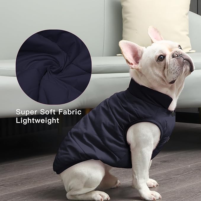 2 Layers Fleece Lined Warm Dog Jacket for Winter Cold Weather,Soft Windproof Medium Dog Coat,Blue XL
