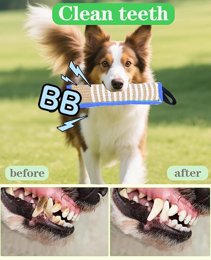 Clysoru Tug Toy for Dogs Squeaky Toy with 2 Strong Handles Lasting Training Equipment Puppy to Large Dog Interactive Toys of War Pull Indestructible Rope Pet Crinkle Teething (Blue)