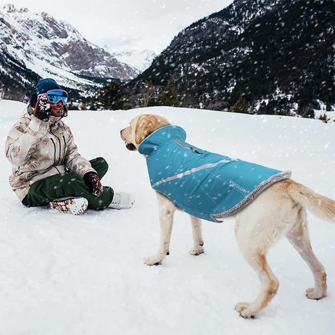 VIVAGLORY Snowrap Dog Coat, Jacket with Harness Hole & Velcro Closure, Dog Coat for Winter & Cold Weather, Fluffy Warm Fleece Lined Reflective Water Resistant for Puppy, M, Turquoise