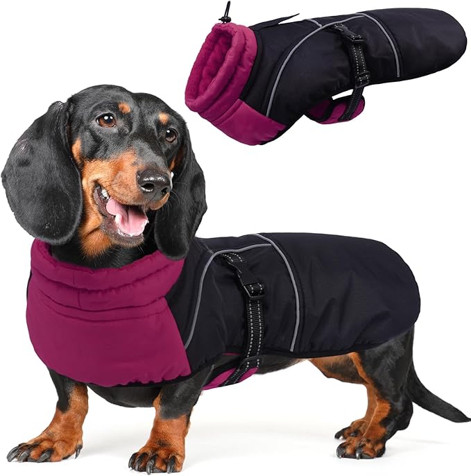 DORA BRIDAL Dachshund Coat, Fleece Lined Dog Winter Coat, Warm Dog Coats with Reflective Strips, Adjustable Waterproof Pet Jacket Clothes, XS