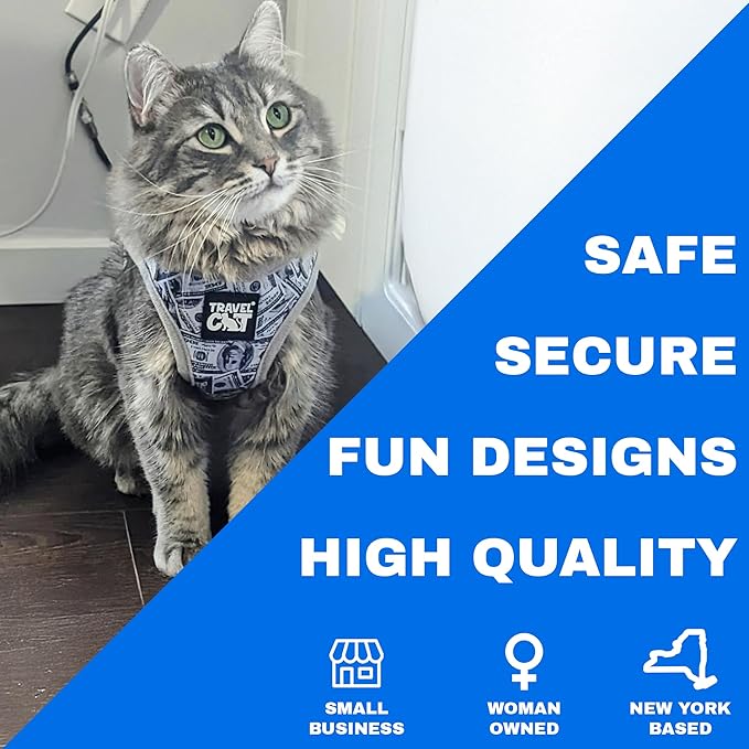 Travel Cat Harness and Leash Set - Adjustable Fit Mesh Cat Harness and Reflective Strap - Comfort Walking Vest for Kitten for Outdoor Walking, Hiking (Small, Cash)