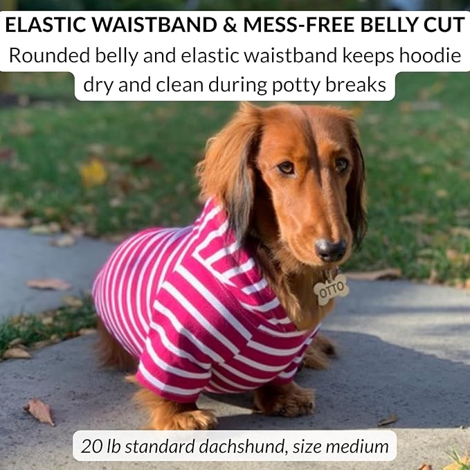 DJANGO Dog Hoodie – Warm, Lightweight, Soft & Stretchy Dog Sweater with Hood, Harness Hole & Elastic Waistband – Cozy Sweatshirt for Small Dogs up to 25 lbs, Dachshunds & Puppies – Boysenberry, XS