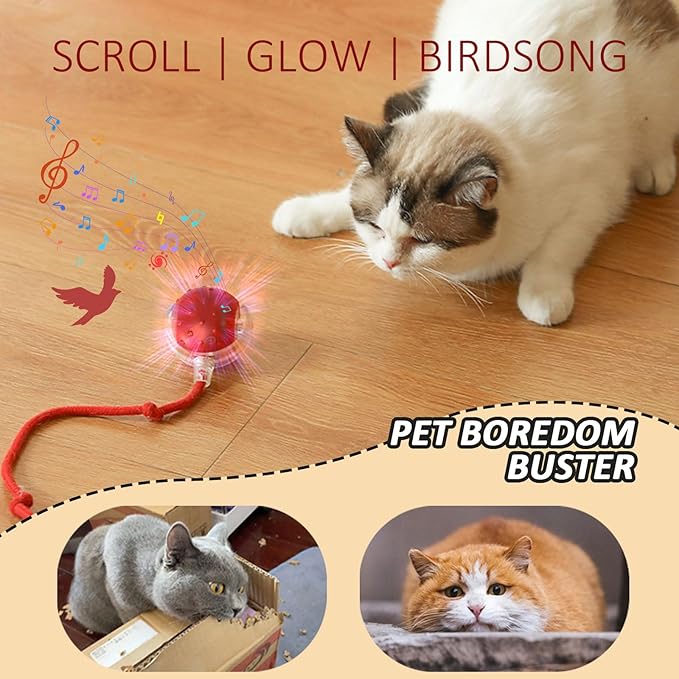 Dog Toy, 360° Rolling Interactive Ball Cat Toy with Realistic Bird Chirping Sounds, Fast Moving Balls Toys for Pets | Automatic Obstacle Avoidance, Rechargeable, Tough (Red)