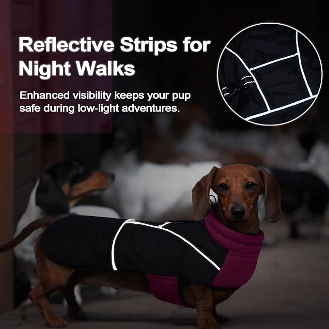 Lelepet Dachshund Coat Warm Dog Winter Coat Waterproof Dog Jacket with Fleece Lining, Reflective Outdoor Dachshund Snowsuit with Leash Hole Adjustable Neckline,Coats for Small Medium Dogs,Purple, XL