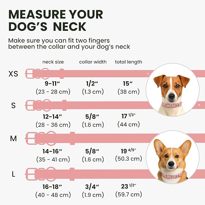 BRONZEDOG Rolled Leather Dog Collar for Small Medium Large Dogs with QR ID Tag (XS: 9-11 Inch, Powder Pink)