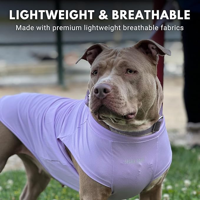 Spark Paws Sunblock Dog T-Shirt, SPF30 Protection, Lightweight Breathable Quick Dry for Dogs with Sensitive Skin - Purple & Pink (Set of 2) - 4XL