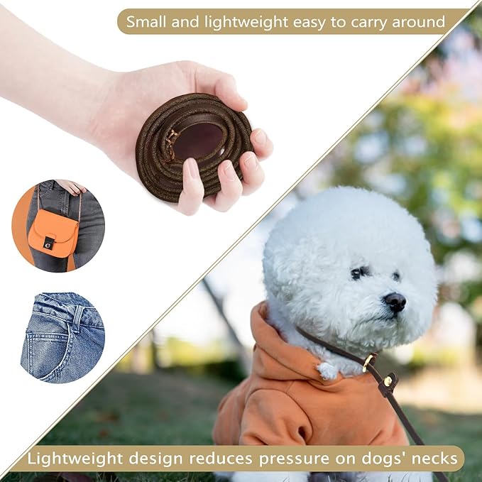 Guiding Star Leather Slip Lead Dog Leash for Small Dogs & Puppies 6 Ft x 1/4 Inch,Luxurious and Lightweight Leather Training Dog Leash for Walking with Soft Handle (Brown)
