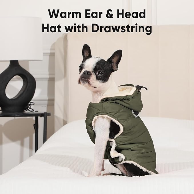 Fleece Lining Dog Hoodie with Harness Built in,Extra Warm Small Dog Jacket in Winter Puppy Coats with Drawstring Hooded,Green S