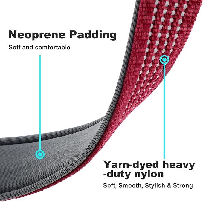 Plutus Pet Reflective Dog Collar with Aviation Aluminum Buckle, Neoprene Padded for Comfort, Lightweight, Heavy Duty Nylon Collar for Puppy Small Medium Large Dogs (Burgundy Red, S)