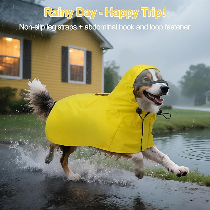 DENTRUN Dog Rain Poncho for Corgi, Schnauzer – Waterproof & Quick-Dry – Hooded Design with Leash Hole for Outdoor Adventures, Camping, City Strolls, L