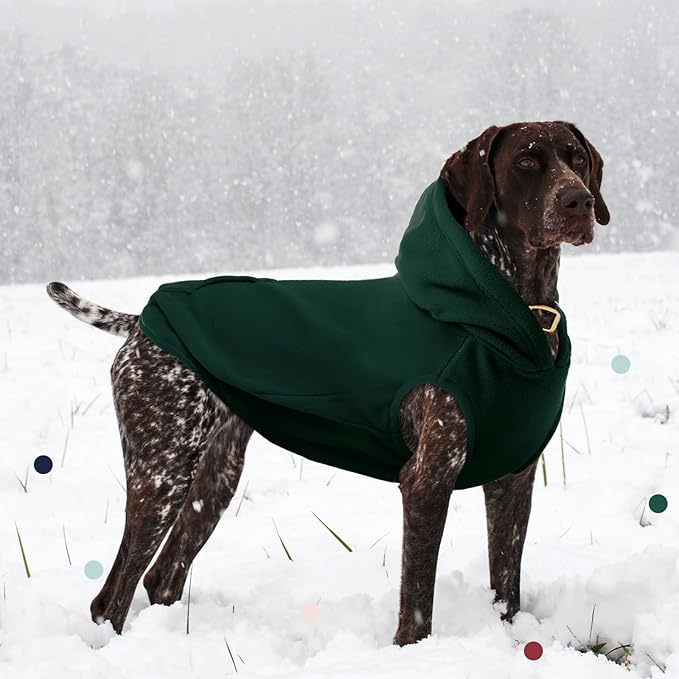 IECOii XXL Dog Hoodie for Large Dogs, Fleece Dog Sweatshirt for Large Breed Male Female Dogs,Pet Pouch Hoodie Winter Sweater Coat with Leash Hole, Warm & Lightweight Outfit for Pitbull, Green, 2XL