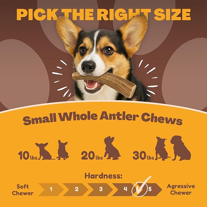 WhiteTail Naturals - Antlers for Small Dogs (6 Pack) Deer Antler Dog Chew Bones for Small Aggressive Chewers - Long Lasting Horn Chew Toys - Naturally Shed