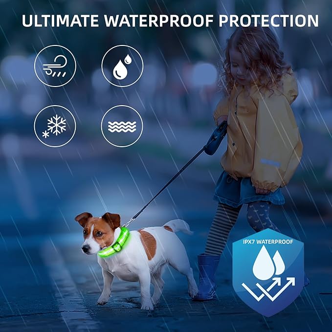 Super Bright LED Dog Collar - Fully Waterproof & Adjustable Glow Collar - USB-C Rechargeable for Night Walking, Safety - Flashing Lighted Collar for Dogs(Green,L)