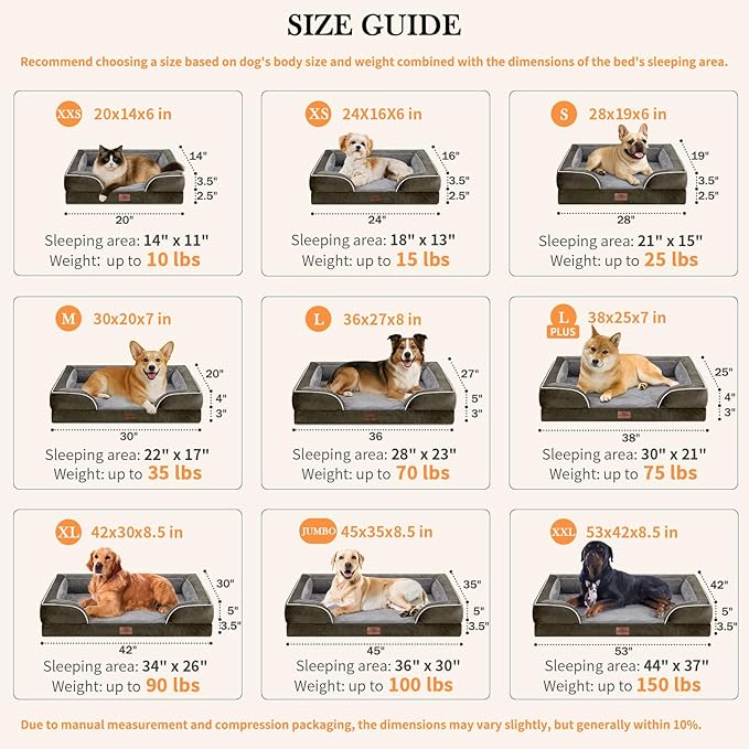 Comfort Expression Orthopedic Dog Bed for Small Dogs 20x14 Inch, Waterproof Supportive Egg Crate Foam Small Pet Bed with Removable Bolsters, Dog Couch with Washable Cover & Non-Slip Bottom, Dark Green