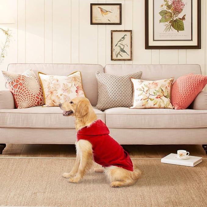 EXPAWLORER Dog Hoodie Fleece Sweater Vest, Hooded Dog Sweatshirt Fall Winter Pet Clothes with Leash Ring, Sleeveless Warm Cozy Puppy Clothing for Cat Small Medium Large Dogs Girl Boy, Red S