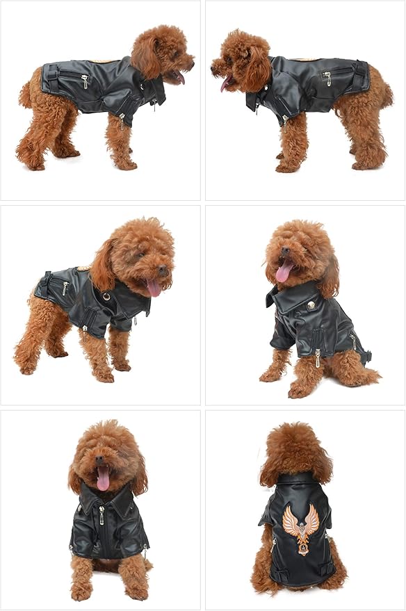 Lovelonglong Cool Dog Leather Jacket, Warm Coats Dogs Windproof Cold Weather Coats for Large Medium Small Dogs with Eagle Embroidery Black S
