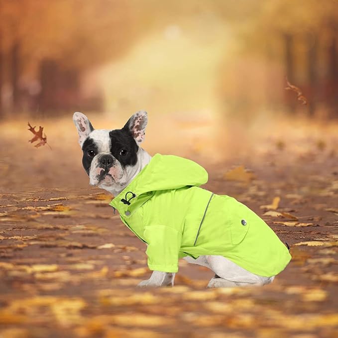 Morezi Dog Zip Up Raincoat with Reflective Buttons, Rain/Water Resistant, Adjustable Drawstring, Removable Hood, Raincoats with Legs 8lbs to 80lbs Available Light Green L