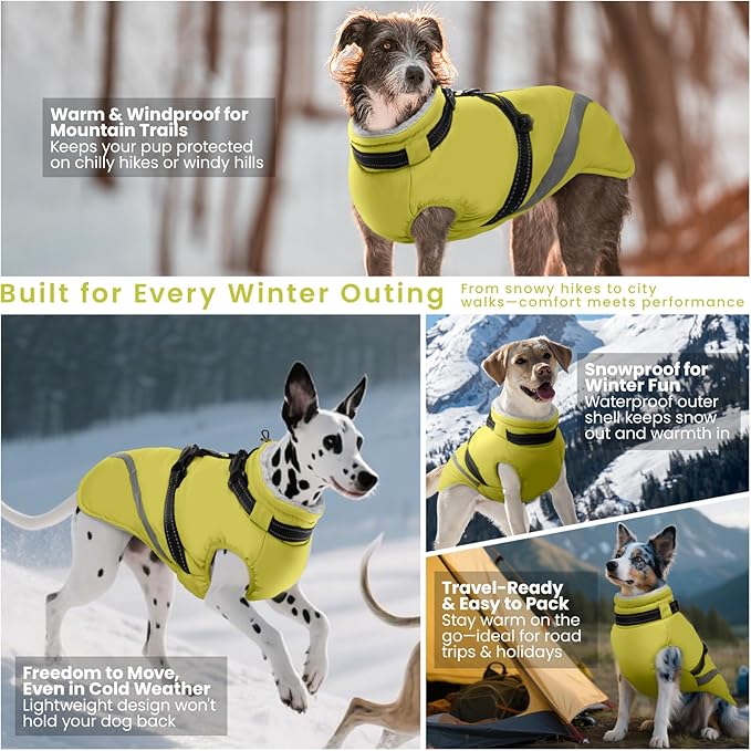 QBLEEV Dog Coat for Small Dogs, Waterproof Dog Jacket with Built-in Harness, Puppy Cold Weather Coats Reflective Vest, Windproof Warm Fleece Snowsuit Winter Coat for Chihuahua, Yorkie, Green, XS