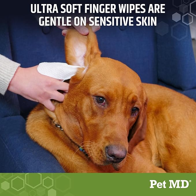 Dog Ear Cleaning Finger Wipes with Aloe Vera & Eucalyptus Oil – Veterinarian Formulated Pet Ear Wipes for Dog Ear Care – Made in USA – 50 Count
