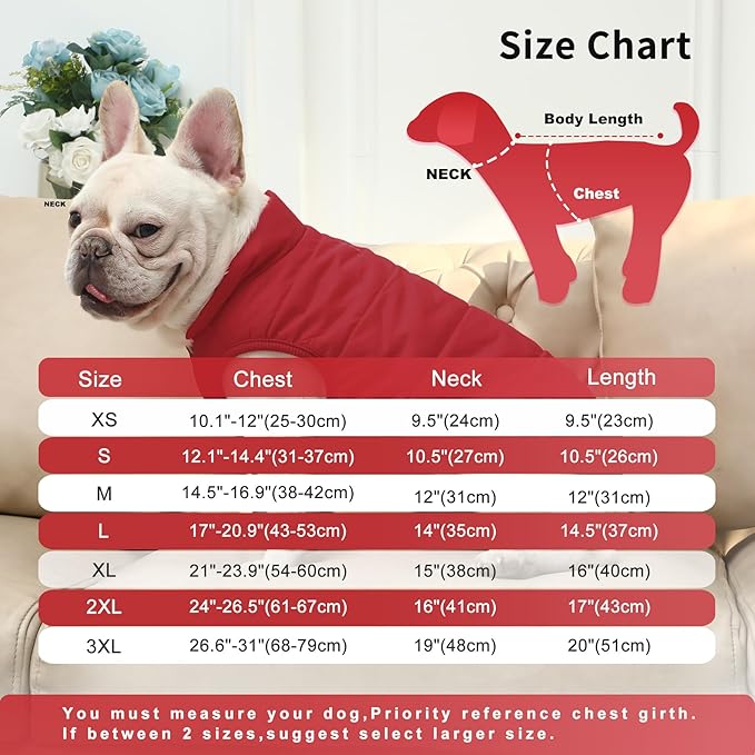 2 Layers Fleece Lined Warm Dog Jacket for Winter Cold Weather,Soft Windproof Medium Dog Coat,Red XL