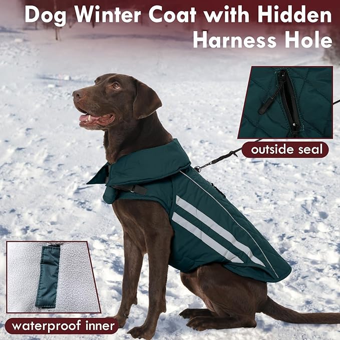 Dog Coats for Medium Dogs Waterproof Warm Winter Jacket with Leash Hole Reflective Turtleneck Fleece Snowsuit Hook & Loop Snow Jackets for Dogs, Green M