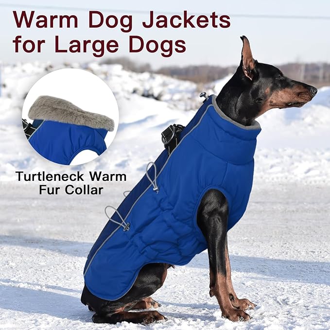 Small Dog Coat - Winter Jacket, Warm Zip Up Snowsuit, Reflective, Water-Resistant, Royal-Blue