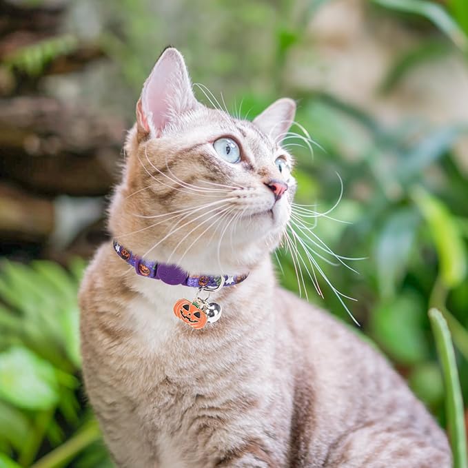 3 Pack Halloween Breakaway Cat Collars with Bell & Charm-Holiday Cat Collar for Girl Boy Cats with Safety Buckle- Cute Pumpkin Skull Kitten Collar Adjustable 8"-12" for Kitty Puppy Small Pets