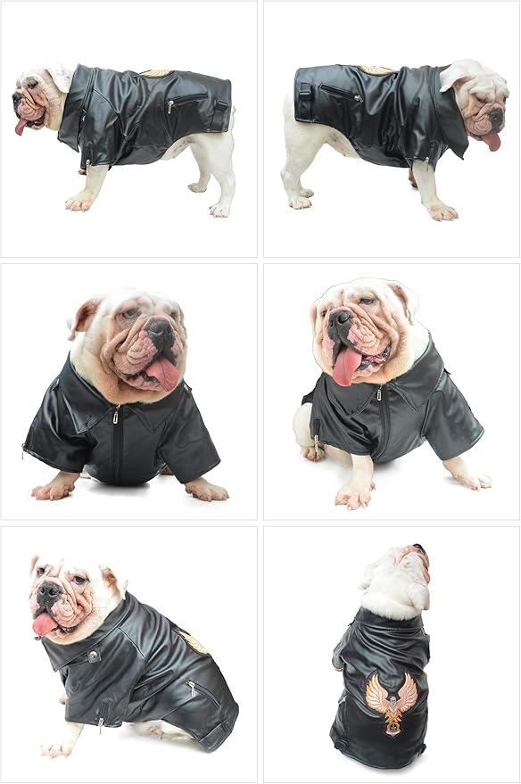 Lovelonglong Cool Dog Leather Jacket, Warm Coats Dogs Windproof Cold Weather Coats for Large Medium Small Dogs with Eagle Embroidery Black B-S