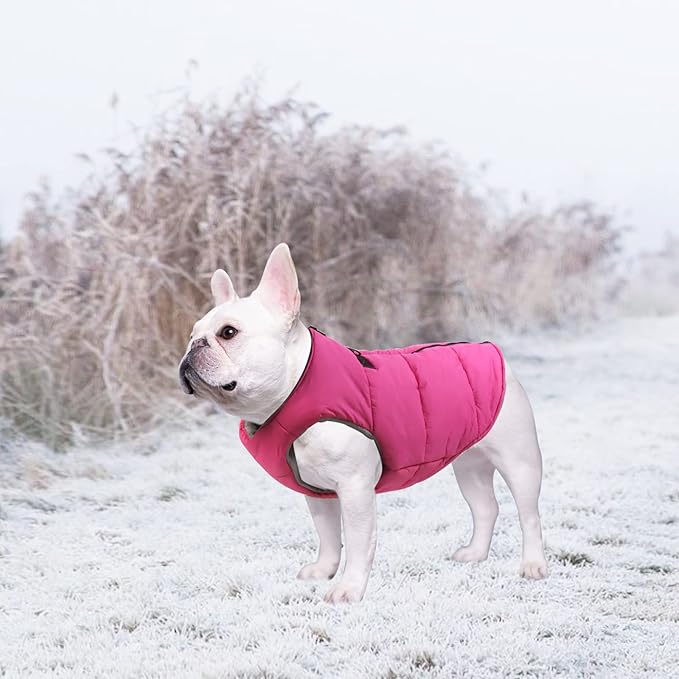 Dog Bulldog Clothes Dog Cotton Padded Coat Thick Winter Warm Vest Waistcoat Cold Weather Jacket Clothing for French Bulldog Coat-Pink-XL