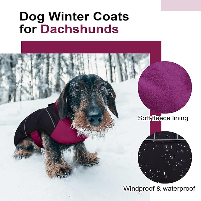 Lelepet Dachshund Coat Warm Dog Winter Coat Waterproof Dog Jacket with Fleece Lining, Reflective Outdoor Dachshund Snowsuit with Leash Hole Adjustable Neckline,Coats for Small Medium Dogs,Purple, XL