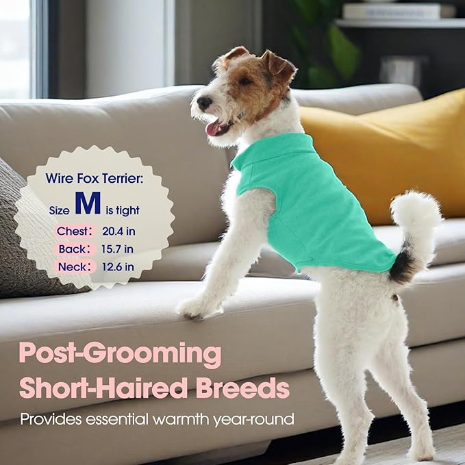 FUAMEY Dog Fleece Vest for Small Dogs,Warm Stretchy Dog Sweatshirts Pullover with Leash Hole Dogs Sweater Soft Pet Turtleneck Cozy Pet Vest Lightweight Sleeveless Cyan S