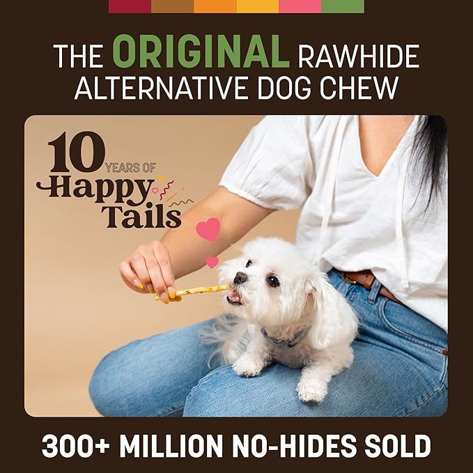 Earth Animal No Hide Stix - Long Lasting Rawhide Free Small Dog Chews Sticks, Pork - 40 Count Extra Value Pack