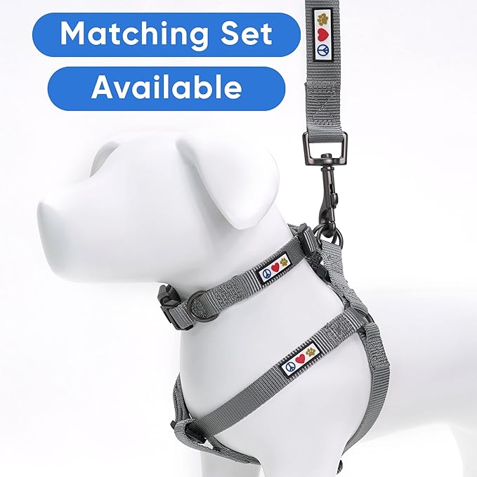 Pawtitas Personalized Dog Leash - Embroidered Custom Leash with Pet Name & Phone Number, 6 ft Long, Grey, Extra Small