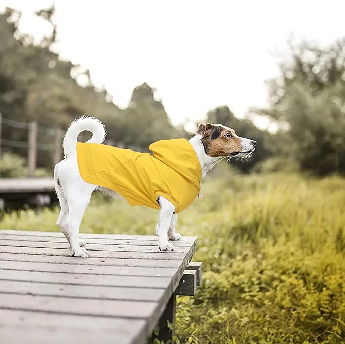 Dog Raincoat rain Jacket Dogs Waterproof fit for Small Medium Breeds Zipper Closure Pocket Storage in Cold Day - Yellow - L