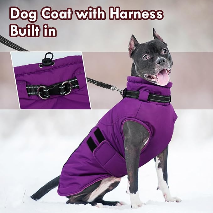 Dog Coat for Large Dogs Waterproof Winter Jacket with Harness Built-in Reflective Adjustable Hook&Loop Snowsuit for Dogs Bulldog Pitbull, XL Purple